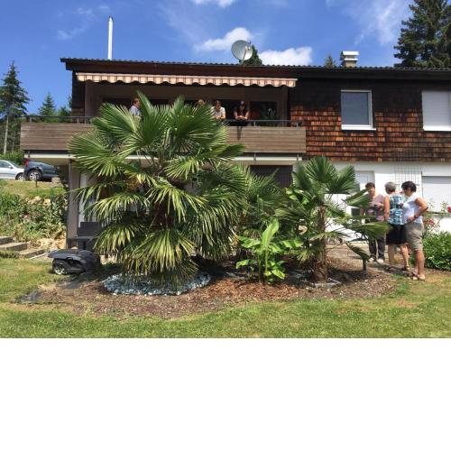 Ferienwohnung Palmengarten