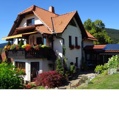 Ferienwohnung Panorama