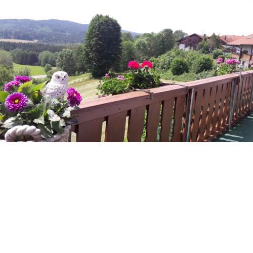 Ferienwohnung-Panoramablick -4