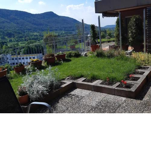 Ferienwohnung Panoramablick