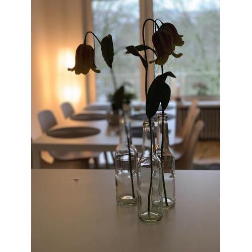 Ferienwohnung Parkblick
