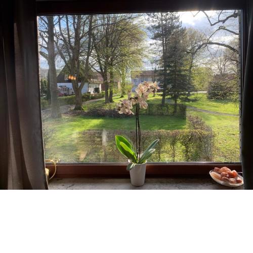 Ferienwohnung Parkblick