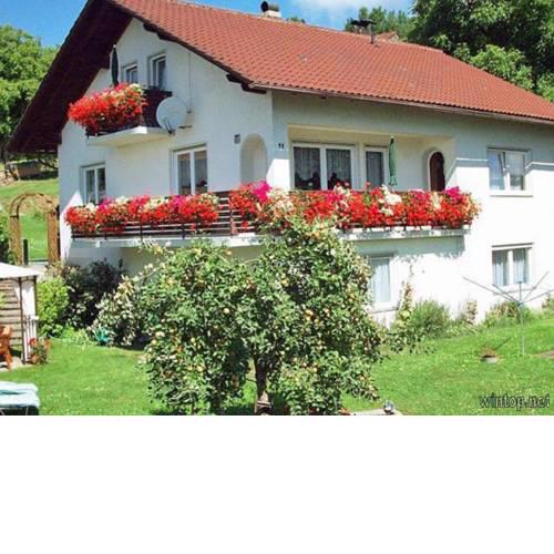 Ferienwohnung Pinker