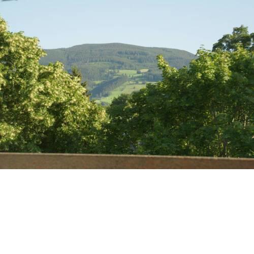 Ferienwohnung Rappeneck-Blick