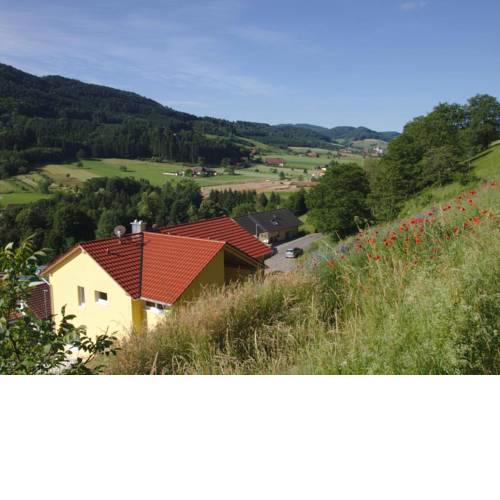 Ferienwohnung Rebenrain