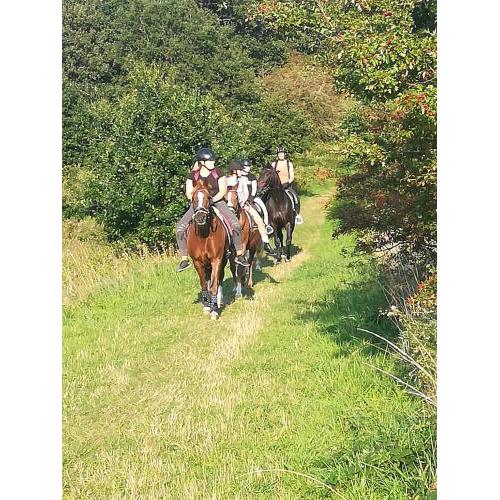 Ferienwohnung Reitanlage Bärenz