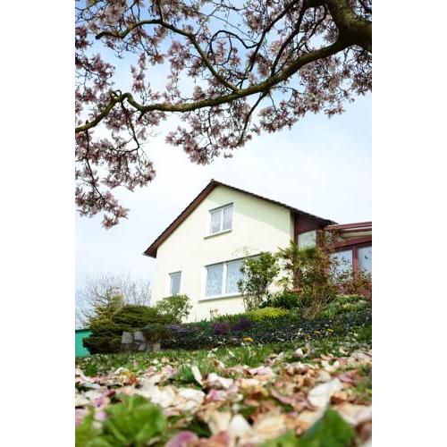 Ferienwohnung Rheinblick