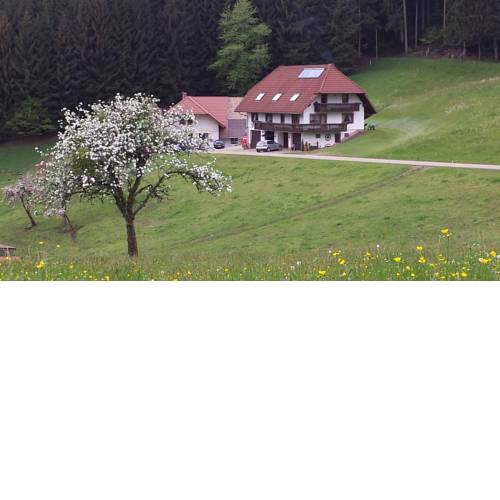 Ferienwohnung Ringwald