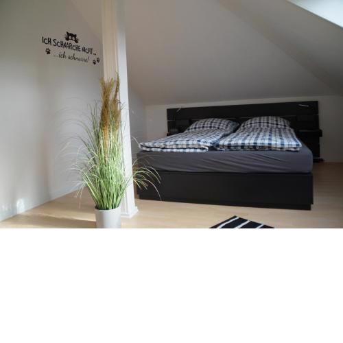Ferienwohnung Robbe
