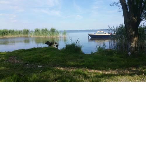 Ferienwohnung Röbel/Müritz