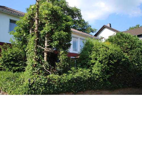 Ferienwohnung Rosengarten - a69639