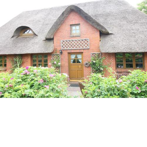 Ferienwohnung Rosenkate