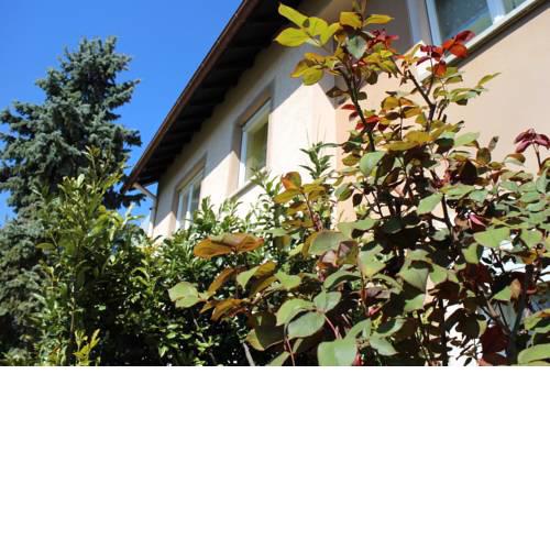 Ferienwohnung Roser