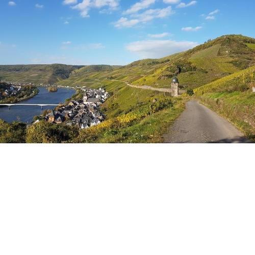 Ferienwohnung Roter Riesling