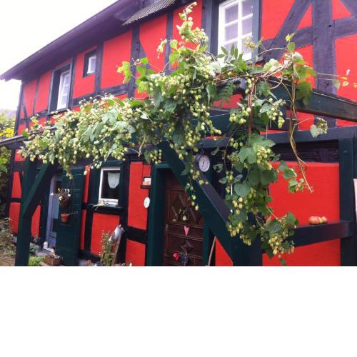 Ferienwohnung Rotes Fachwerkhaus