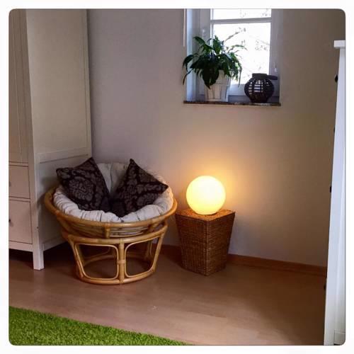 Ferienwohnung schöner Rheingau