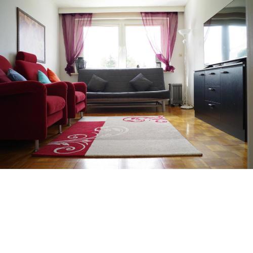 Ferienwohnung Schuur - Harz
