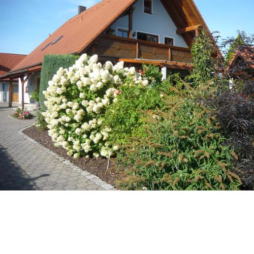 Ferienwohnung Schwarz