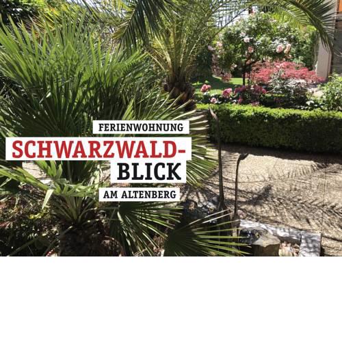 Ferienwohnung Schwarzwaldblick am Altenberg
