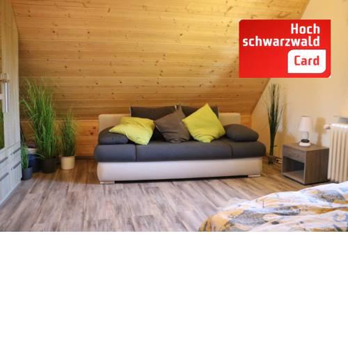 Ferienwohnung Seeblick Nr. 5 - 2 Zi-Bärental, Feldberg - [#95701]