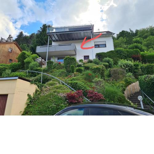 Ferienwohnung Seeliebe Bodensee mit wunderschöner Seesicht & Terrasse
