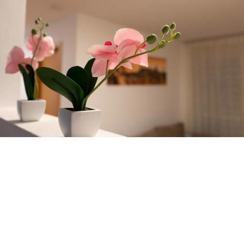 Ferienwohnung Shirin