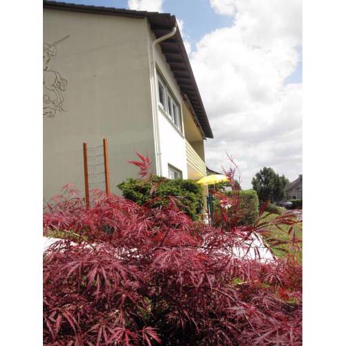 Ferienwohnung Sonnenblume
