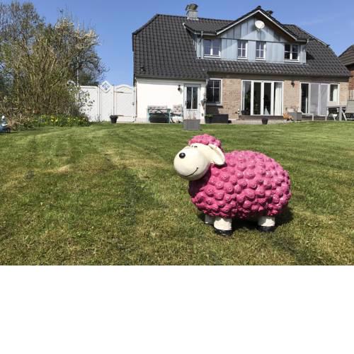 Ferienwohnung Sonnentraum