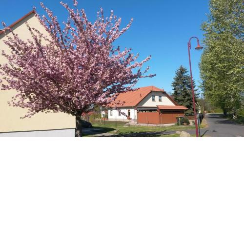 Ferienwohnung Störmthaler See