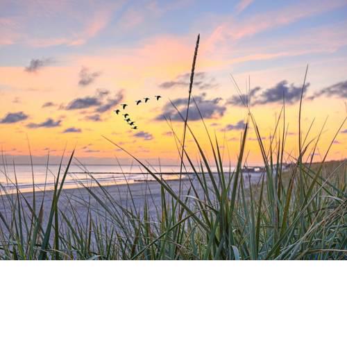 Ferienwohnung Strandkörbchen