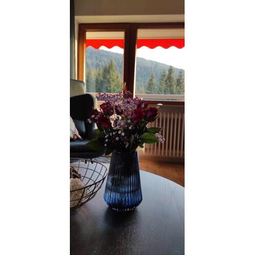 Ferienwohnung Tannenballett im Schwarzwald