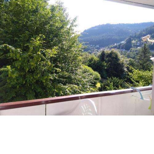 Ferienwohnung Tannenwald