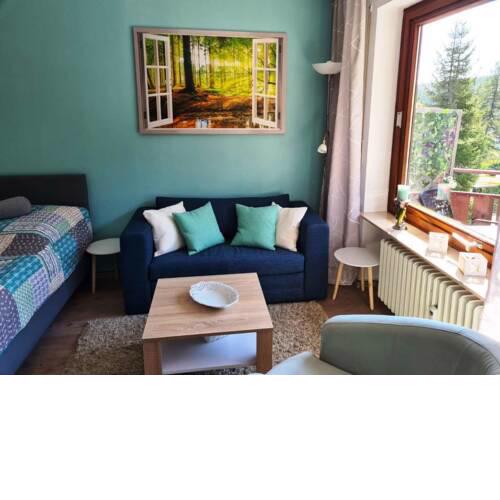 Ferienwohnung Unter den Schanzen
