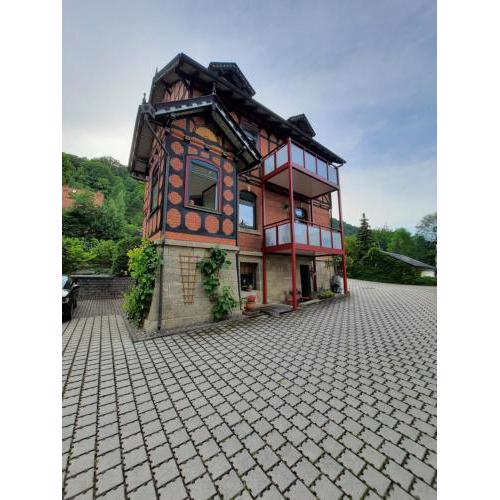 Ferienwohnung Villa Frosch
