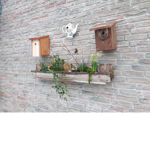 Ferienwohnung Vogelvilla
