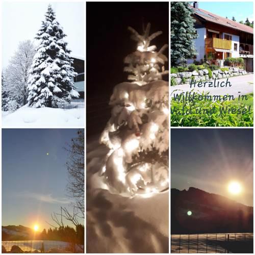 Ferienwohnung Wald und Wiese