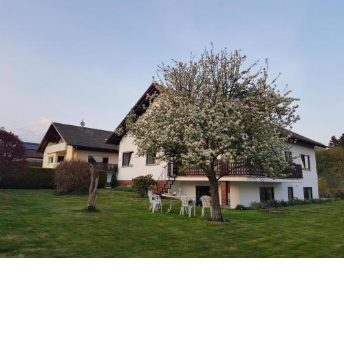 Ferienwohnung-Wald