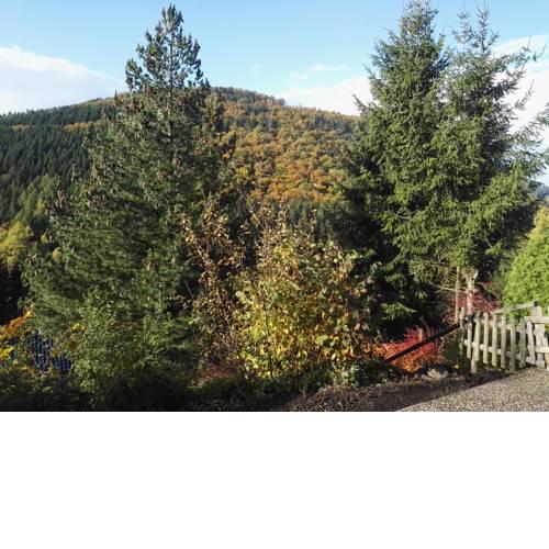 Ferienwohnung Waldblick Winterberg