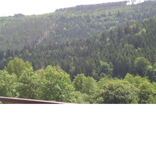 Ferienwohnung Waldblick