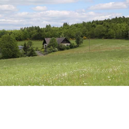 Ferienwohnung Weitblick