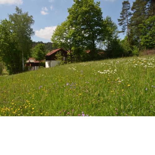 Ferienwohnung Wildgatter