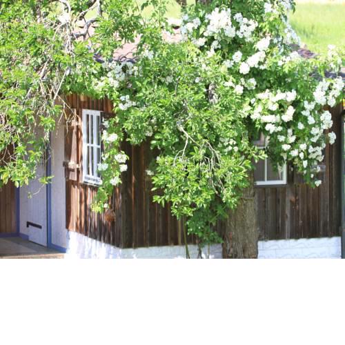 Ferienwohnung zum Torfstecher