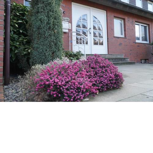 Ferienwohnung "Zur Heide"