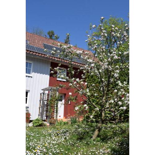 Ferienwohnungen Dornröschen