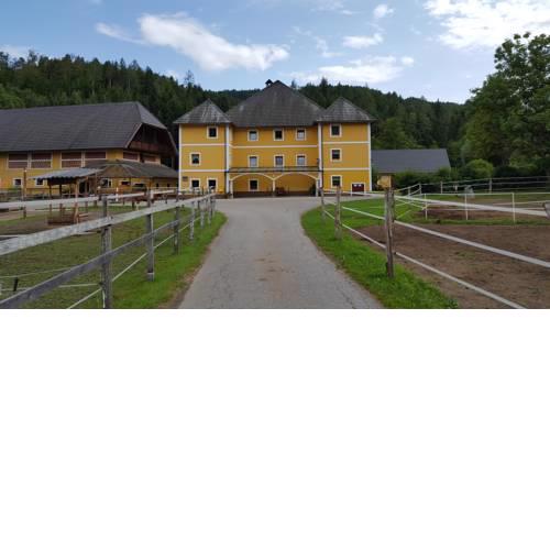 Ferienwohnungen Gut Seebacher