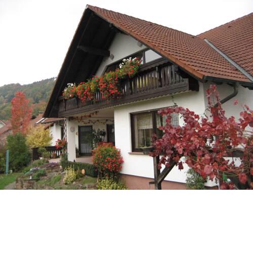 Ferienwohnungen Haus Albert