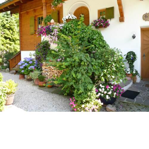 Ferienwohnungen Haus Frick