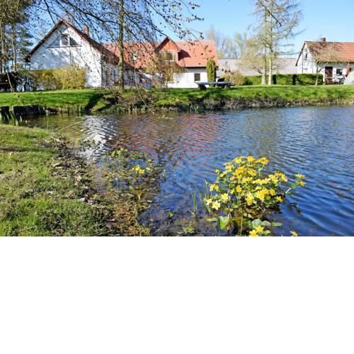 Ferienwohnungen in Ramitz mit See und Parklandschaft