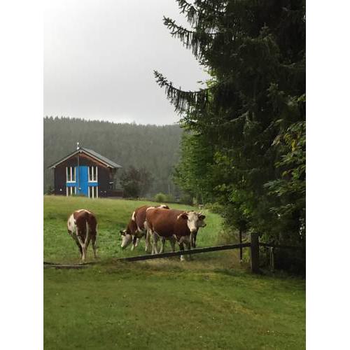Ferienwohnungen Matz