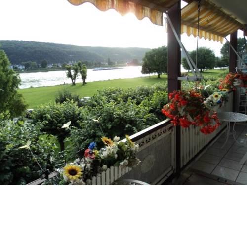 Ferienwohnungen mit Rheinblick